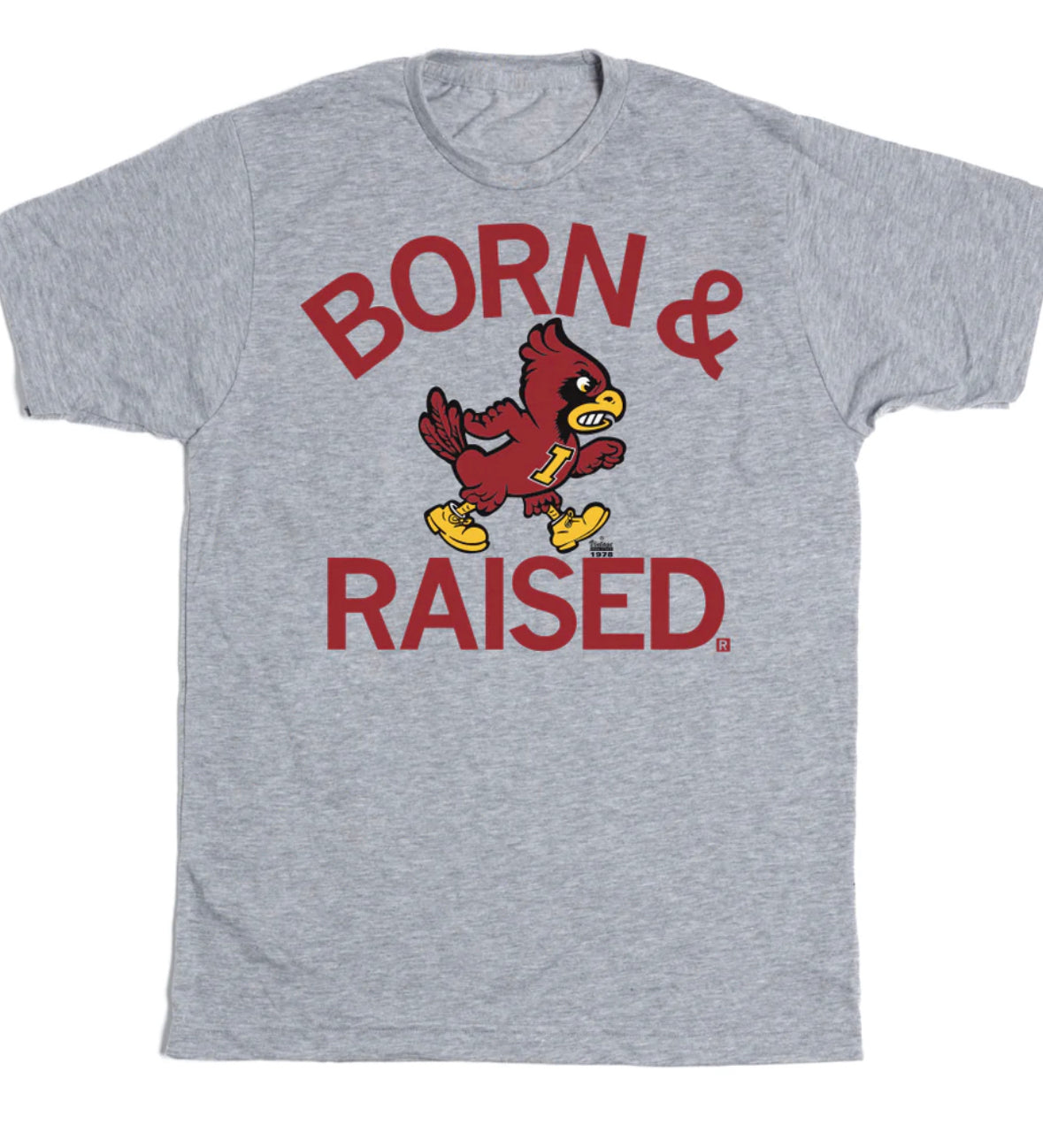 Born & Raised College Spirt Tees
