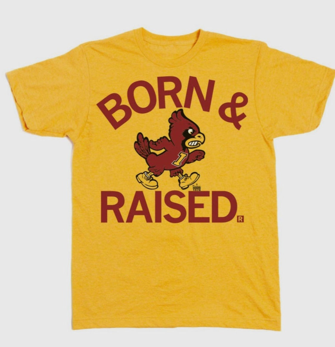 Born & Raised College Spirt Tees