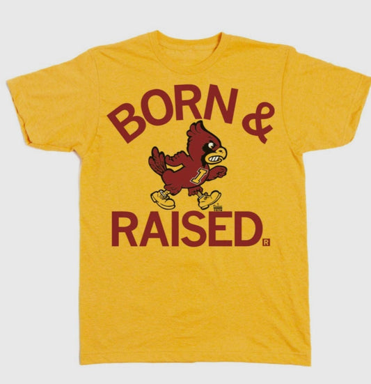 Born & Raised College Spirt Tees
