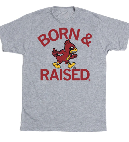 Born & Raised College Spirt Tees